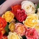 이수정농장 이미지