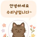 NR-3[진주대로]-상-80 | [진주 하연옥 본점] 10년 만에 다시 찾은 냉면집 솔직후기_ 비빔냉면·육전은 여전하지만, 위생은 아쉬움!