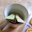 바다그리기 | [얼초] 얼초 바다동물 그리기 만드는 법, 후기