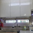 국제백양 이미지