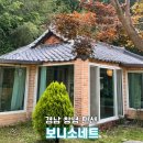 보니소네트 이미지