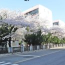 왕자맨션 이미지