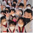 용인대 최고 태권도 이미지