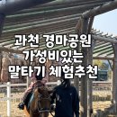 포니랜드 이미지