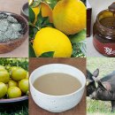 슬로우리제주 이미지