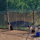 청계복지농장 이미지