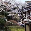 교토 청수사(기요미즈데라) 쇼핑거리 소우소우, 가방(에코백, 가마구치백), 타비양발 가격