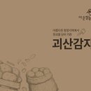 디자인감자 이미지