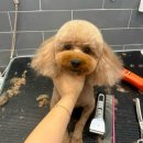 크리스타일 이미지