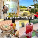 장천1길 | 속초 애견동반 브런치 카페 추천 야외 정원까지 완벽한 심플레이스