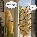 남산9길 25(교현2동) | 가끔 변하지 않는 것들이 있어