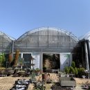 미륵농장 이미지