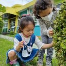 다목초병설유치원 이미지