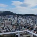 꽃차 소믈리에로의 초대 이미지