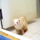 반디의꿈 이미지