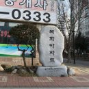 한성목화 이미지