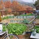 The으뜸공인중개사사무소 이미지