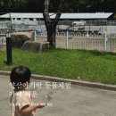 양산 아기랑 동물 먹이주기 체험 가능한 카페해운 솔직후기!