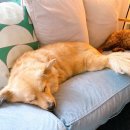 이마트24동성로중앙점 이미지