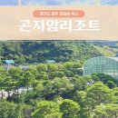 로얄 빌리지 | 곤지암리조트 72평 L빌리지 로얄룸 취사 가능 객실｜야외 바베큐장 후기