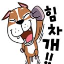 크로스핏 BnK 이미지