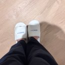 예스덴탈 | [국내/ 속초] 속초가서 호캉스 누가해? 안녕하세요 누입니다. 홈 마리나 속초 후기