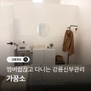 중앙동224 이미지