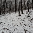 한뿌리농장 이미지