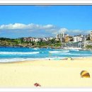 NSW-(시드니) 본다이비치 Bondi Beach 이미지