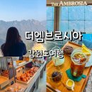 더엠브로시아 | 고성 더엠브로시아 후기 울산바위 통창뷰 카페 빵 맛집
