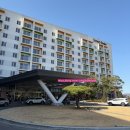 청송 | [경북/청송군] 소노벨 청송 리조트 숙소 후기 | 객실·로비·부대시설 정리