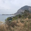시종오토바이 | 제주 올레길 10코스 * 산방산, 송악산 둘레길 17.5km 완주 후기