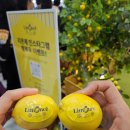 (주)코아코머디티인터내셔널 | [주류박람회] 2025 서울국제주류&amp;와인박람회 후기