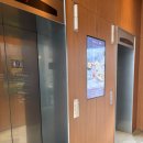 호텔 그라모스 서울강남 | [서울 강남구] 호텔 페이토 강남 디럭스 더블 숙박 후기