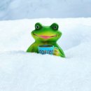 새하얀세상 이미지