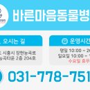 바나나 동물병원 이미지