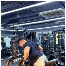 짐에센셜 이미지