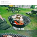 별빛소나타 이미지