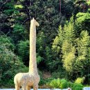 수지면 마연마을 이미지