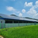 꿈의 태양광발전소 이미지