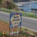 남면농장 | 남해 꽃마루수국농원 수국체험 후기 아이와 함께한 특별한 하루