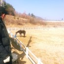 청호승마장