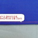 통솔 Daum카페