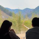 CU 밀양가곡중앙점 | 국내숙소추천 / 밀양 하우하