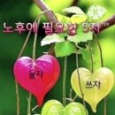 오늘도행복