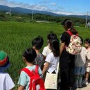 산들바람어린이집 이미지