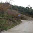 이사위묘 이미지