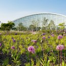 일월수목원전시온실 이미지