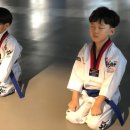 한국체대 힘찬 태권도장 이미지