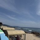 손가락펜션민박 | 고래불에서 해수욕도 해야지🐋🐳